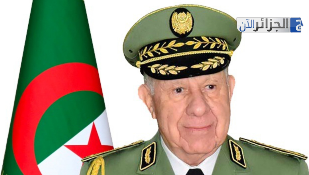 صورة الخبر