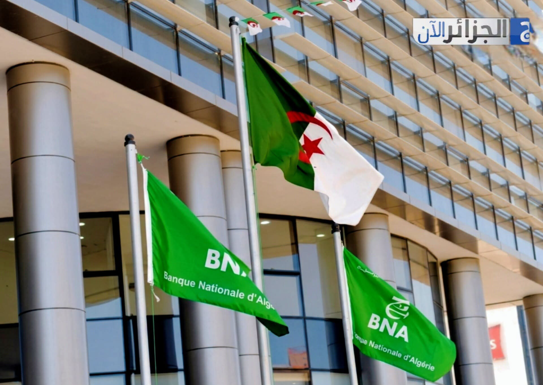 صورة الخبر