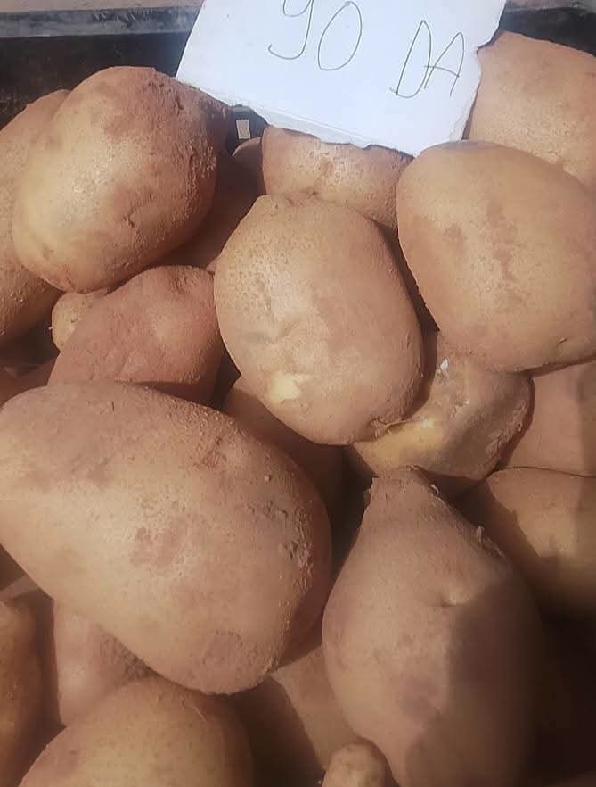 صورة الخبر