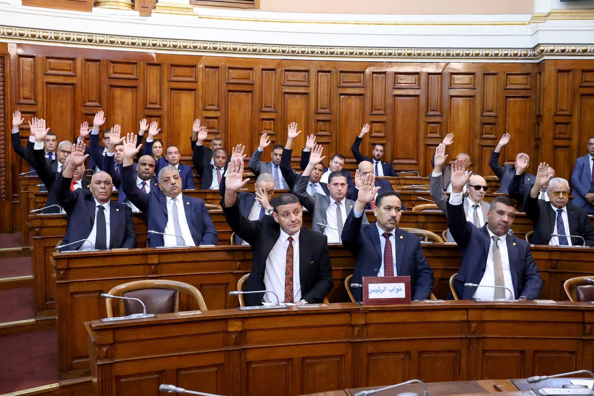 صورة الخبر