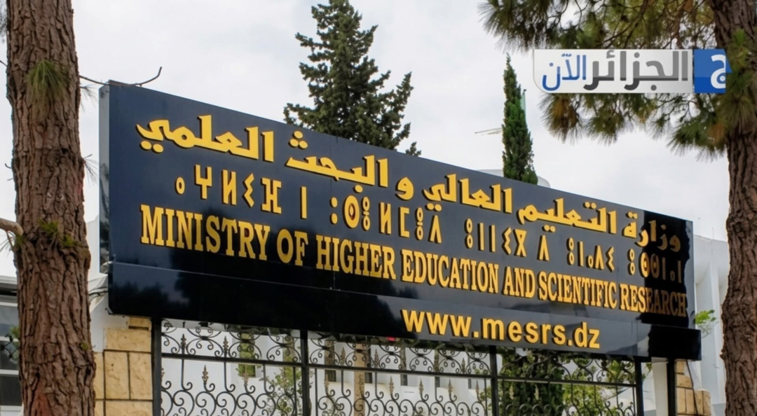 صورة الخبر
