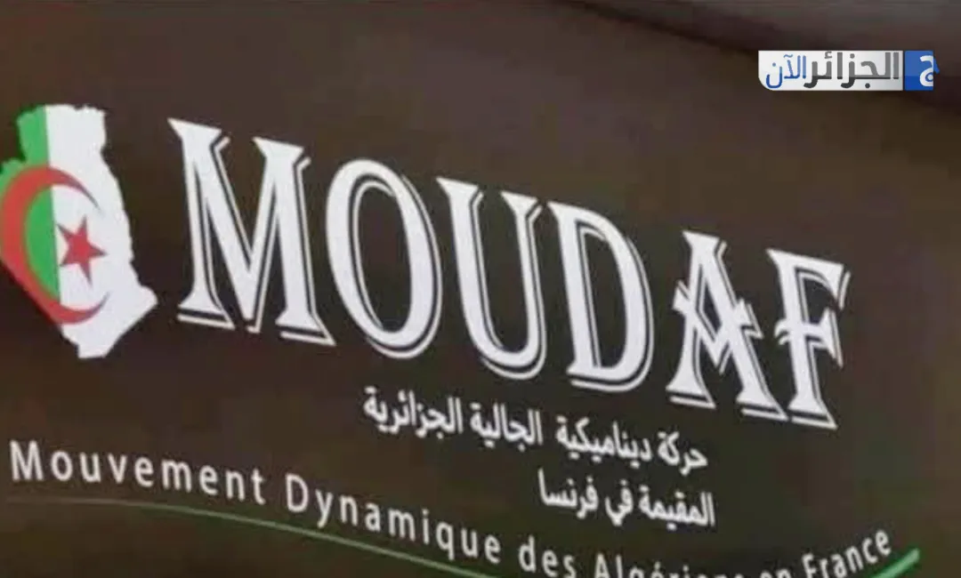 صورة الخبر